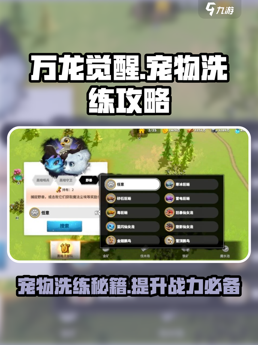 魔力百科宠物捕捉技巧如何轻松获得强力宠物