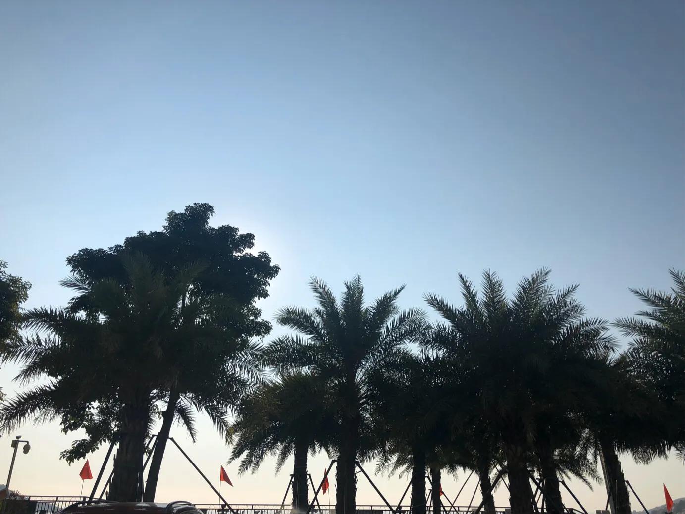 餐具上的细菌有多少？定期消毒很重要​